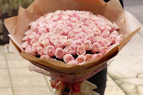 101-pink-roses-49D7DC727-997D-A7D8-A55E-6153B35EFC0B.jpg